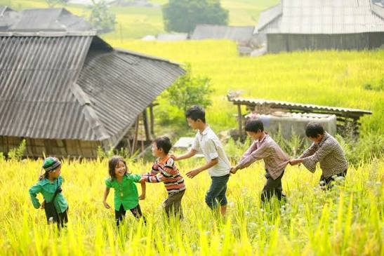 Nhóm trẻ em nắm tay nhau đi trên cánh đồng lúa vùng cao